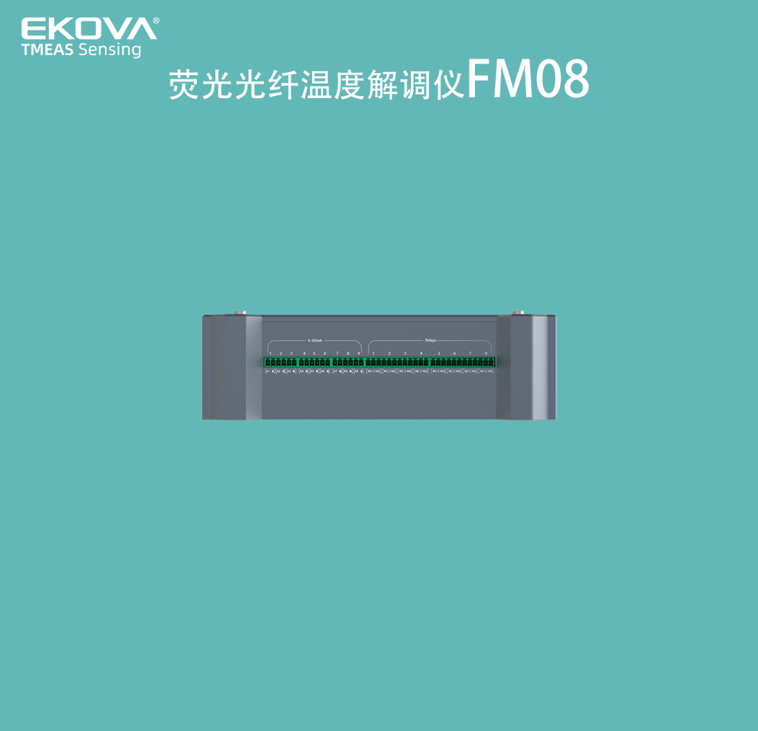 熒光溫度表FM08-細(xì)節(jié)2 拷貝
